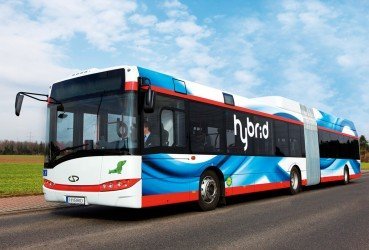 URBINO 18 (ГИБРИД)